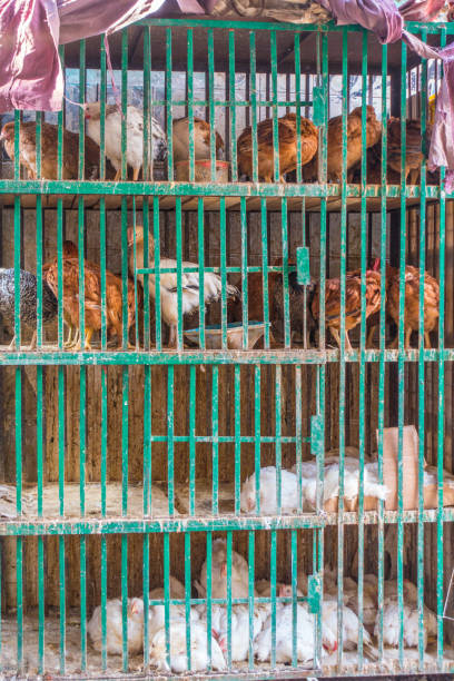 Wholesale Meets Retail